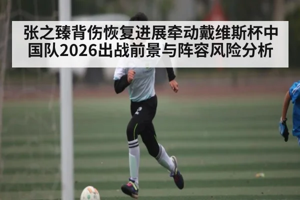 张之臻背伤恢复进展牵动戴维斯杯中国队2026出战前景与阵容风险分析